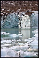 Cavell Glacier and icebergs detached from the glacier. Jasper National Park, Canadian Rockies, Alberta, Canada (color)