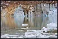 Front of Cavell Glacier reflected in glacial lake. Jasper National Park, Canadian Rockies, Alberta, Canada