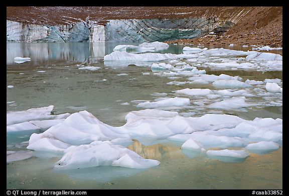 Icebergs, glacial pond, and Cavell Glacier front. Jasper National Park, Canadian Rockies, Alberta, Canada