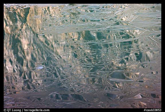 Reflections in partly frozen lake, Cavell Pond. Jasper National Park, Canadian Rockies, Alberta, Canada