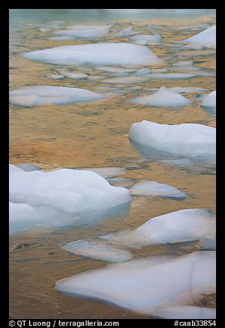 Icebergs and golden reflections from Mt Edith Cavell. Jasper National Park, Canadian Rockies, Alberta, Canada