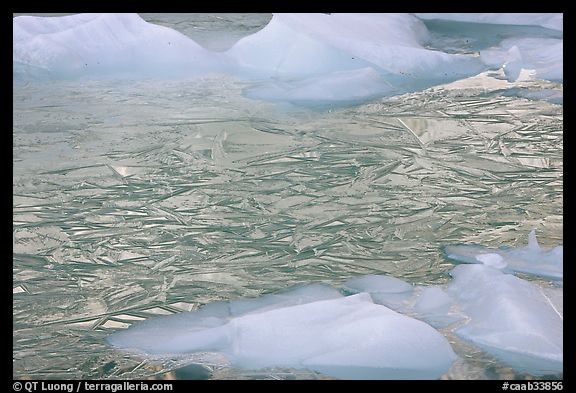 Ice patters and icebergs, Cavell Pond. Jasper National Park, Canadian Rockies, Alberta, Canada