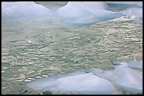 Ice patters and icebergs, Cavell Pond. Jasper National Park, Canadian Rockies, Alberta, Canada ( color)