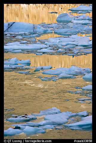 Blue Icebergs and yellow reflections of mountain face,. Jasper National Park, Canadian Rockies, Alberta, Canada