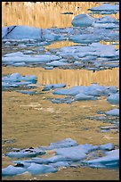 Blue Icebergs and yellow reflections of mountain face,. Jasper National Park, Canadian Rockies, Alberta, Canada ( color)