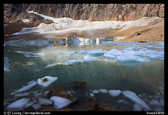 Icebergs, reflections, and Cavell Glacier. Jasper National Park, Canadian Rockies, Alberta, Canada