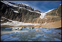 Icebergs and Cavell Pond at the base of Mt Edith Cavell, early morning. Jasper National Park, Canadian Rockies, Alberta, Canada (color)
