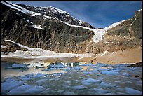 Icebergs and Cavell Pond at the base of Mt Edith Cavell, early morning. Jasper National Park, Canadian Rockies, Alberta, Canada