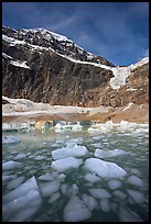 Iceberg-filled  Glacial Pond, and steep face of Mt Edith Cavell, early morning. Jasper National Park, Canadian Rockies, Alberta, Canada (color)