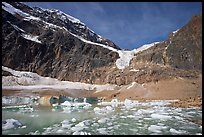 Cavell Pond and glaciers  at the base of Mt Edith Cavell, early morning. Jasper National Park, Canadian Rockies, Alberta, Canada ( color)