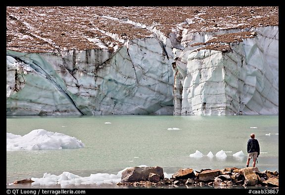 Hiker looking at the face of Cavell Glacier. Jasper National Park, Canadian Rockies, Alberta, Canada