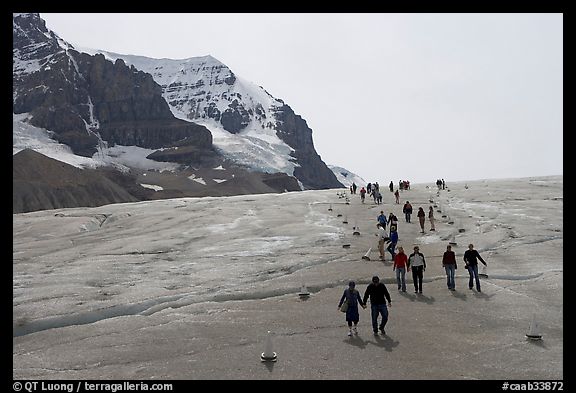 Tourists in a marked area of Athabasca Glacier. Jasper National Park, Canadian Rockies, Alberta, Canada (color)