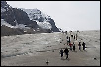 Tourists in a marked area of Athabasca Glacier. Jasper National Park, Canadian Rockies, Alberta, Canada