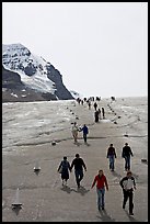 Tourists descending Athabasca Glacier. Jasper National Park, Canadian Rockies, Alberta, Canada (color)