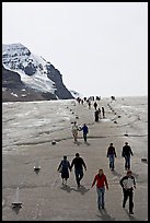 Tourists descending Athabasca Glacier. Jasper National Park, Canadian Rockies, Alberta, Canada