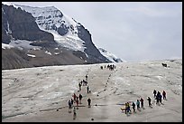 Groups of people amongst glacier and peaks. Jasper National Park, Canadian Rockies, Alberta, Canada