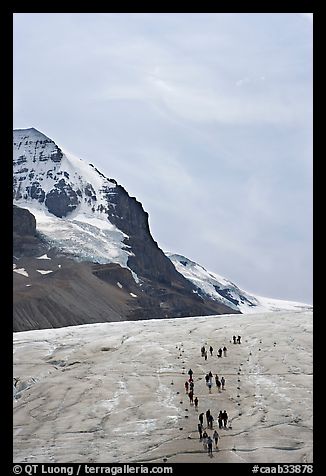 Athabasca Glacier with people in delimited area. Jasper National Park, Canadian Rockies, Alberta, Canada