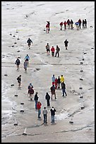 People in delimited area, Athabasca Glacier. Jasper National Park, Canadian Rockies, Alberta, Canada ( color)