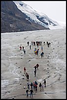 People in delimited area at the toe of Athabasca Glacier. Jasper National Park, Canadian Rockies, Alberta, Canada ( color)