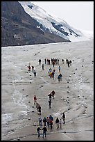 People in delimited area at the toe of Athabasca Glacier. Jasper National Park, Canadian Rockies, Alberta, Canada (color)