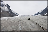 Toe of Athabasca Glacier with tourists in delimited area. Jasper National Park, Canadian Rockies, Alberta, Canada (color)