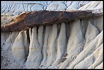 Eroded mud and caprock, Dinosaur Provincial Park. Alberta, Canada (color)