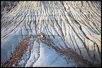 Badlands detail, with eroded clay and gravel, Dinosaur Provincial Park. Alberta, Canada (color)