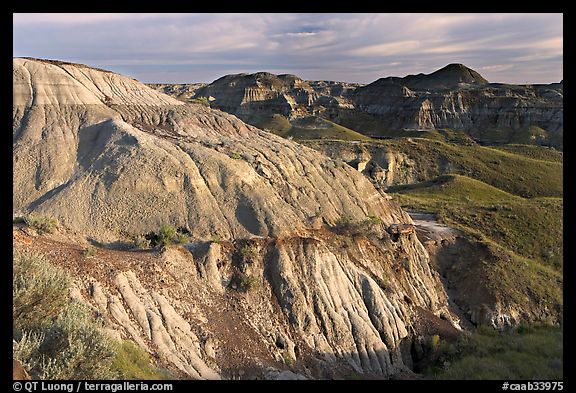 Badlands and hills, Dinosaur Provincial Park. Alberta, Canada (color)