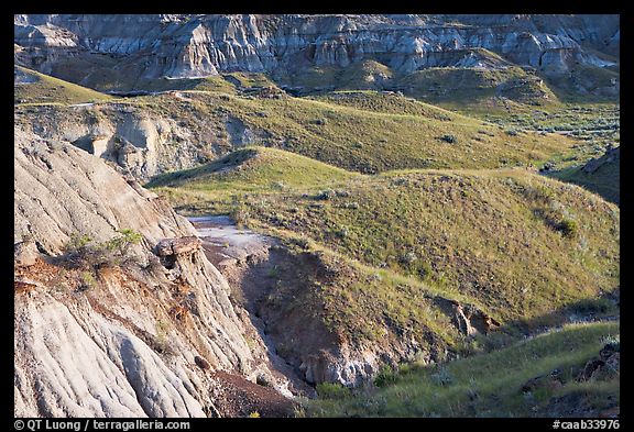 Hills and badlands, morning, Dinosaur Provincial Park. Alberta, Canada (color)