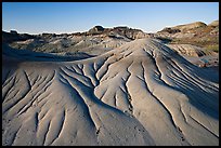 Eroded badlands, morning, Dinosaur Provincial Park. Alberta, Canada ( color)