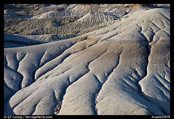 Erosion patters in mud, Dinosaur Provincial Park. Alberta, Canada