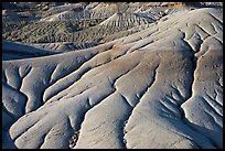 pictures of Dinosaur Provincial Park