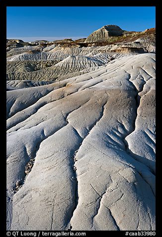 Coulee badlands with clay erosion patters, Dinosaur Provincial Park. Alberta, Canada (color)