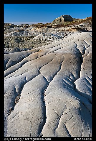 Coulee badlands with clay erosion patters, Dinosaur Provincial Park. Alberta, Canada