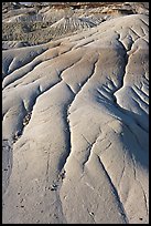 Patterns of mudstone erosion, Dinosaur Provincial Park. Alberta, Canada