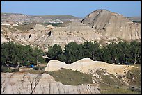 Campground amongst badlands, Dinosaur Provincial Park. Alberta, Canada ( color)