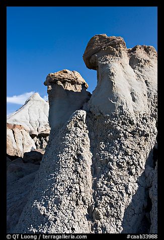 Capstone chimneys and popcorn mudstone, Dinosaur Provincial Park. Alberta, Canada (color)
