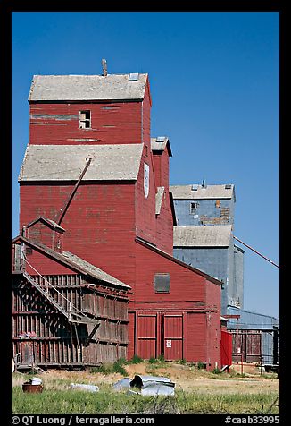 Wood grain storage buildings. Alberta, Canada