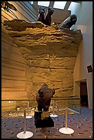 Interpretative center exhibit, Head-smashed-In Buffalo Jump. Alberta, Canada (color)