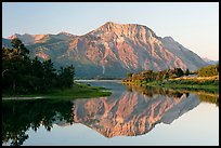 Vimy Peak reflected in Middle Waterton Lake, sunrise. Waterton Lakes National Park, Alberta, Canada