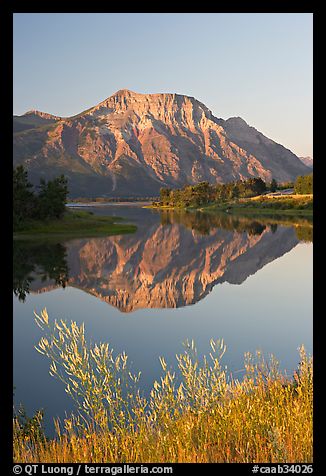 Vimy Peak and reflection in Middle Waterton Lake, sunrise. Waterton Lakes National Park, Alberta, Canada (color)