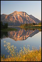 Vimy Peak and reflection in Middle Waterton Lake, sunrise. Waterton Lakes National Park, Alberta, Canada