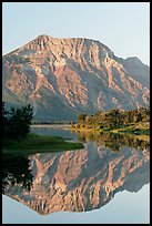 Mountain and reflection in Middle Waterton Lake, sunrise. Waterton Lakes National Park, Alberta, Canada ( color)