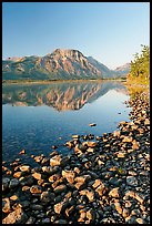 Pebbles, Middle Waterton Lake, and Vimy Peak, early morning. Waterton Lakes National Park, Alberta, Canada