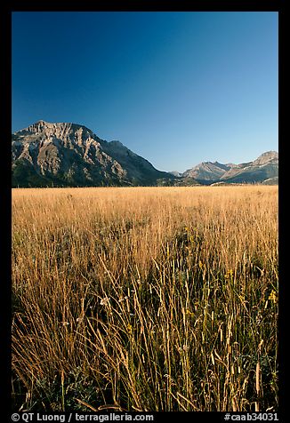 Grass prairie and front range Rocky Mountain peaks. Waterton Lakes National Park, Alberta, Canada (color)