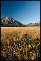 Grass prairie and front range Rocky Mountain peaks. Waterton Lakes National Park, Alberta, Canada (color)