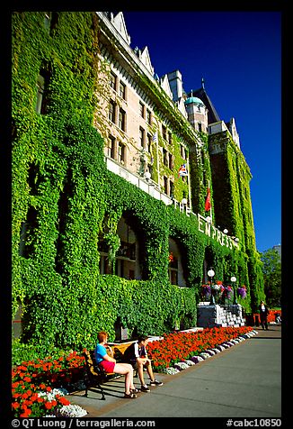 Ivy-covered facade of Empress hotel. Victoria, British Columbia, Canada (color)