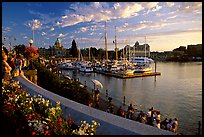 Flowers and Inner Harbour at sunset. Victoria, British Columbia, Canada