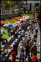 Tourists and art exhibitors on the quay of inner harbour. Victoria, British Columbia, Canada ( color)