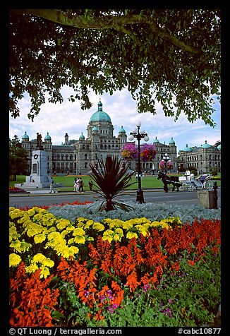 Legislature and horse carriage framed by leaves and flowers. Victoria, British Columbia, Canada (color)